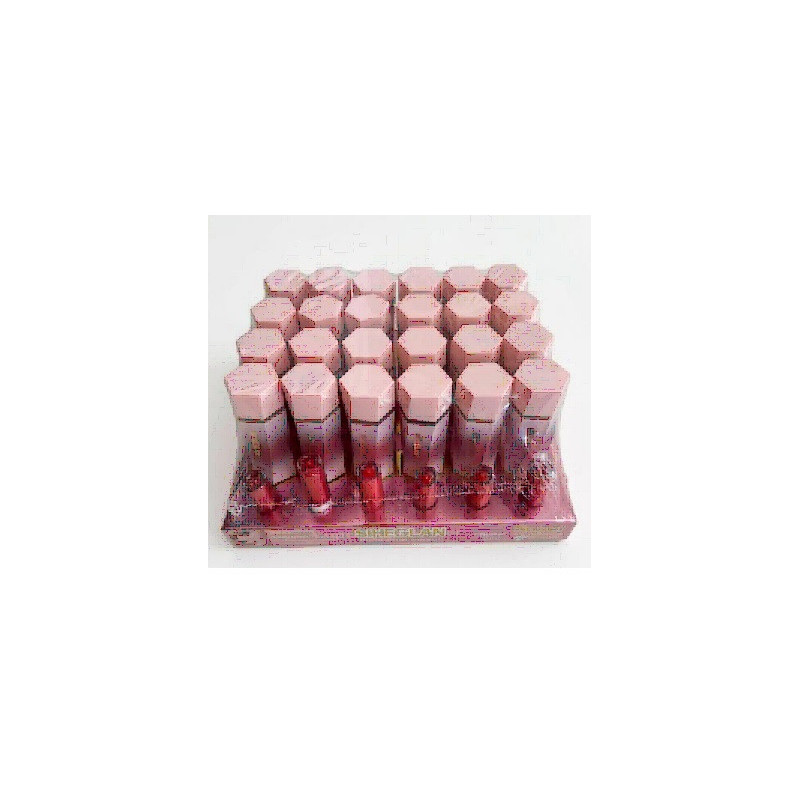 RUBOR LIQUIDO 24PZ