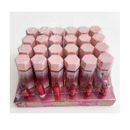 RUBOR LIQUIDO 24PZ