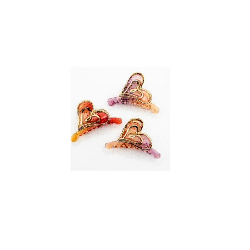 PINZA PARA CABELLO 12PZ