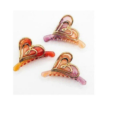 PINZA PARA CABELLO 12PZ