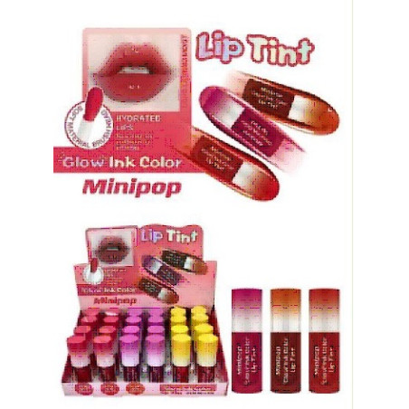 TINTA PARA LABIOS 24PZ